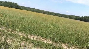 Цветочный рай.mp4