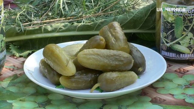 В чому ж феномен смаку популярності ніжинських огірків? (Ранок 14.09.2019)