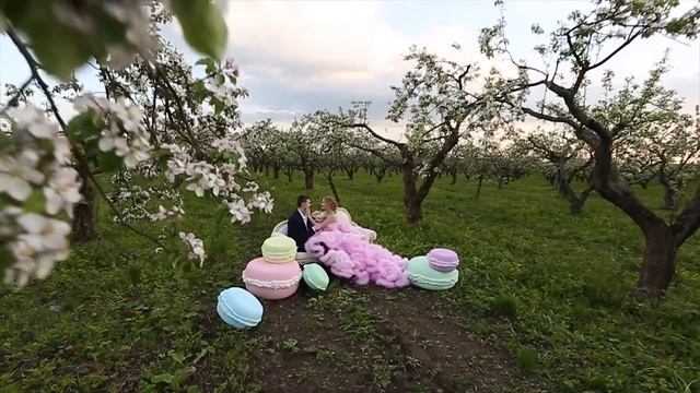 Волшебное love story Максима и Елены в яблочном саду. Свадебное видео. смотреть онлайн