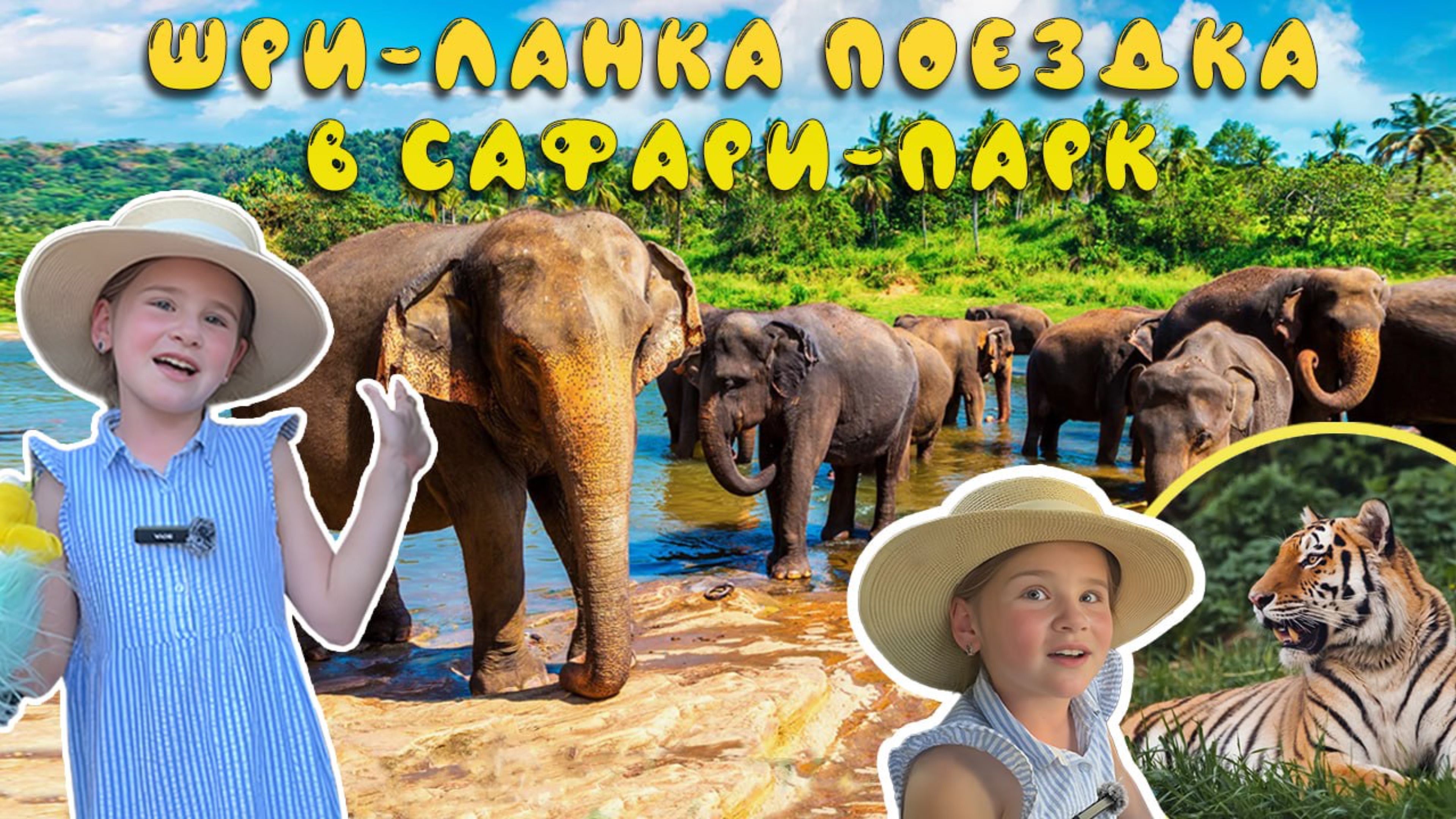 Шри-Ланка 🇱🇰 Сафари парк