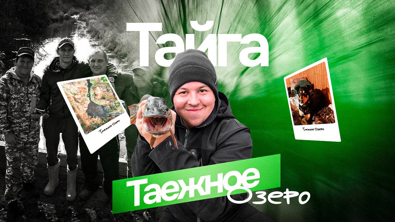 Клёв через заброс Таежное Озеро  🎣Новый член в семье ,Готовимся к сезону 2024