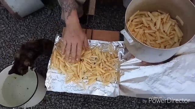 Готовим вкусняшку, купаем поросят! #картошка на костре#картошка с салом смотреть онлайн