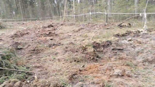 Шарапы. Земля для многодетных. Убираем. 2 мая 2022.