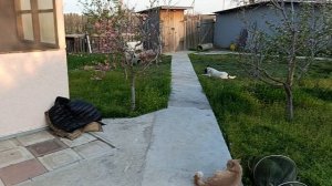 Рыбалка в Астраханской области 14 апреля.