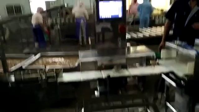 Чеквейер с многопоточной системой отбраковки и повышенной влагозащитой для рыбопереработки