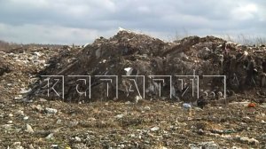 Ущерб более чем на 400 миллионов рублей нанесли природе организаторы свалки в Шатковском районе