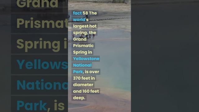 109 amazing facts collected from around the world. #facts#top100 facts#incrediblefacts