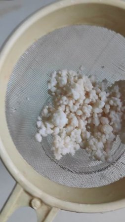 Кефирный грибок ожил - снова стал белым