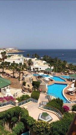 Скоро на канале обзор отеля Park Regency Sharm El Sheikh Resort 5* (бухта Гарденс Бэй)