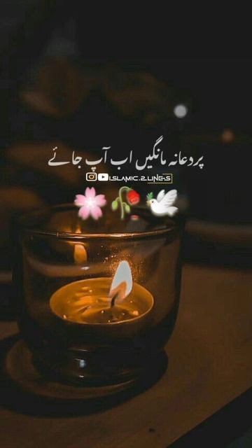 Hazrat💕Suleman ali salam🤲Dua karne ke liye bahar nikle🌸 islamic status video ✨#shorts #islamic