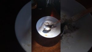 МУКБАНГ ЗА КАДРОМ  И БОЛТОВНЯ ПРО ПЕРИСКОП