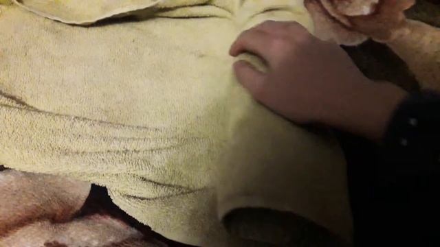 Шава, которую ты бы себе хотел))