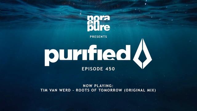 Purified Radio 450