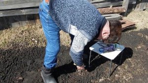 Прививка годовалому подвою  февральский привой