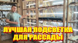 СТЕЛЛАЖИ С ПОДСВЕТКОЙ ДЛЯ РАССАДЫ. Идеальную КРЕПОСТЬ ТАБАКА сделали. Жизнь В ДЕРЕВНЕ. mp4