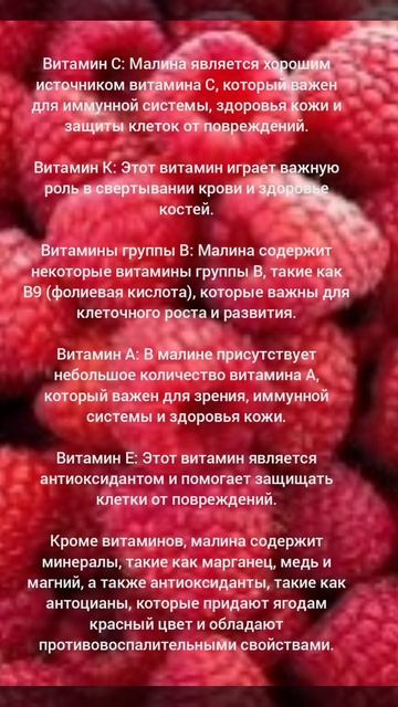 Польза Малина