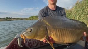 Карп на флэт | Carpfishing Flat Feeder | No comments