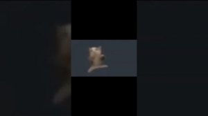 Кот танцует 10 часов