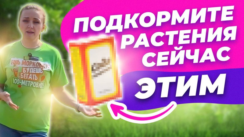 ПЕРВАЯ ПОДКОРМКА РАСТЕНИЙ СЕЙЧАС