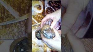 кокос из нутри
