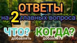 ОТВЕТЫ на 2 главных вопроса ЧТО? КОГДА?