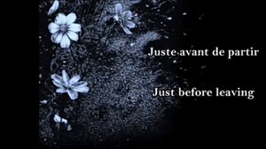I still love you - ( Je t'aime encore -Lara Fabian ) - Lyrics + English Translation