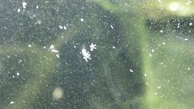 24 октября 2019 г. смотреть онлайн