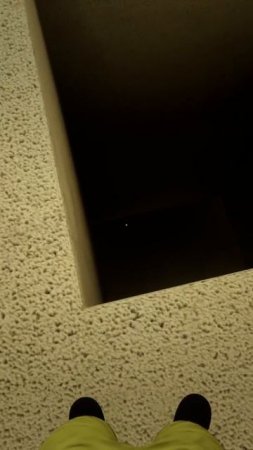 Номана #twitch #raccoonfamily #shorts #EscapetheBackrooms #закулисье