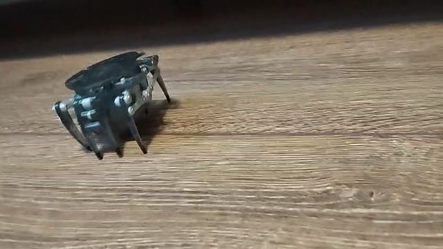 Краб смотреть онлайн