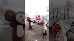 Поздравление от Чебурашки в Оренбурге .mp4