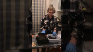 Сажаем томаты на рассаду