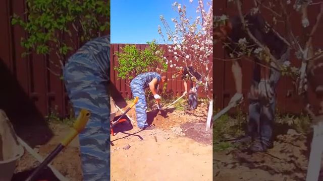 Озеленение с Комаровой ОС смотреть онлайн