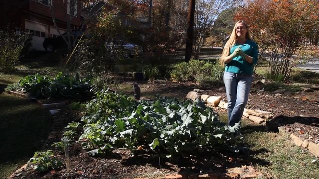 How to Get Rid of Moth Larvae in Vegetable Gardens : Berry Gardening, Fertilizers & Vegetables смотреть онлайн