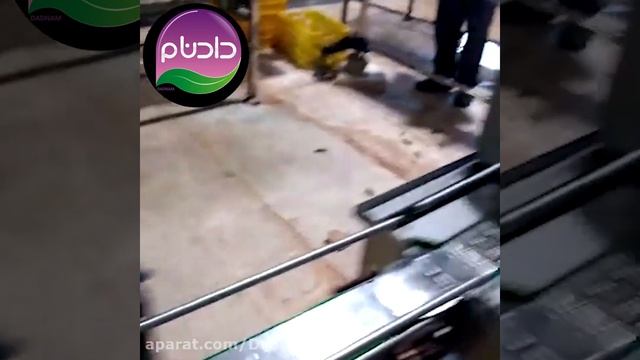 کارخانه تولید خیارشور و ترشیجات دادنام