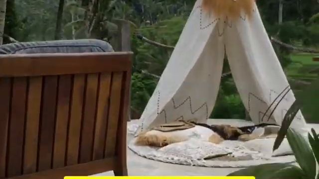 EXPLORE BALI | TIS CAFE BALI | UBUD BALI | WISATA BALI | BALI | | 2020