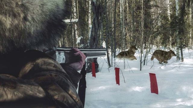 "Пӱӱр ыры" / Песня волка/ исполняет Герман Танбаев