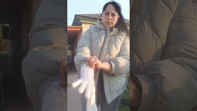 1000153307.mp4Обзор пуховых изделий.т.89020931602 смотреть онлайн