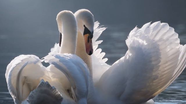 3 Знака Зодиака в ближайшую пятилетку почувствуют себя королями жизни