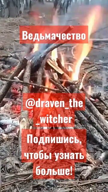 Ведьмачество. #shorts #witcher #ведьмак #ведьма #магия #wicca #magic #tarot #таро #руны #ритуалы