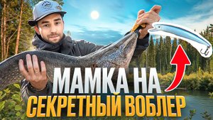 ТРОФЕЙНАЯ ЩУКА весной. Тесты ВОБЛЕРОВ от "Джастов"