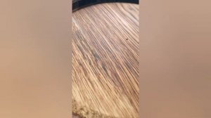 Дубовая бочка потекла!!! 😒Исправляю методом вощения