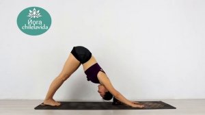 17. Йога ПРЕСС - Домашняя йога на ВСЕ ТЕЛО - Виньяса йога 30 МИНУТ - Йога chilelavida