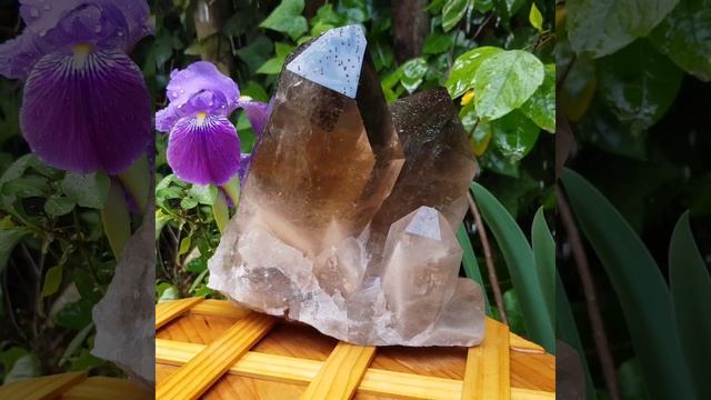 Cuarzo ahumado смотреть онлайн