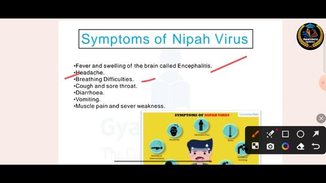 NIPAH VIRUS In Kerala 2023 | What Is NIPAH VIRUS Discussed In Detail | NIPAH VIRUS Scares Kerala