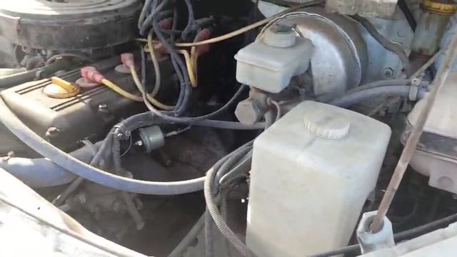 Газелька