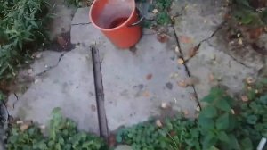 Песня про говновоз наша версия