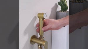 Гигиенический душ Raglo R03 R03.52