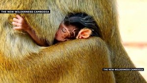MILLION SAD & SORROWFUL...MY HEART WITH STOP BEATING TO SEE POOR BABY NEWBORN GOT SHOCKED BY HER MO