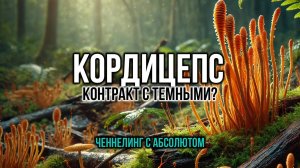 КОРДИЦЕПС: КОНТРАКТ С ТЁМНЫМИ. ЧЕННЕЛИНГ С АБСОЛЮТОМ