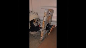 Подборка Басиков и Лили из тик-тока😙 #басики #тикток #подборка #подборкабасиков